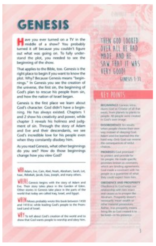 NLT Girls Life Application Study Bible purple/teal tutone leatherlike 8.5 point font. Ages 9-13